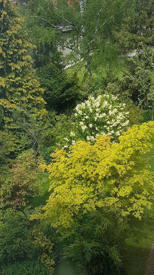 Apartmán Brockenferien Bad Harzburg Exteriér fotografie